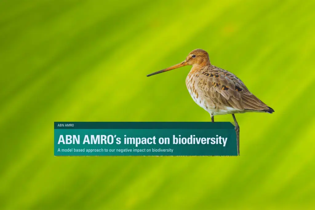 ABN AMRO Impact Report 2021