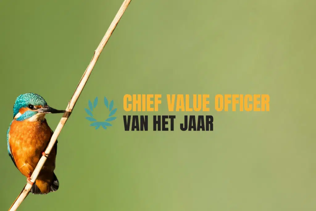 Chief Value Officer of the year Award