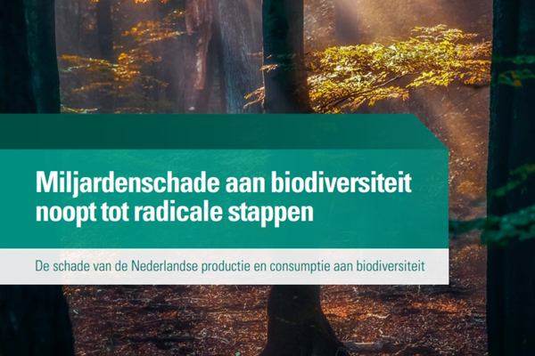 Dutch society causes nearly 40 billion euros in damage to biodiversity