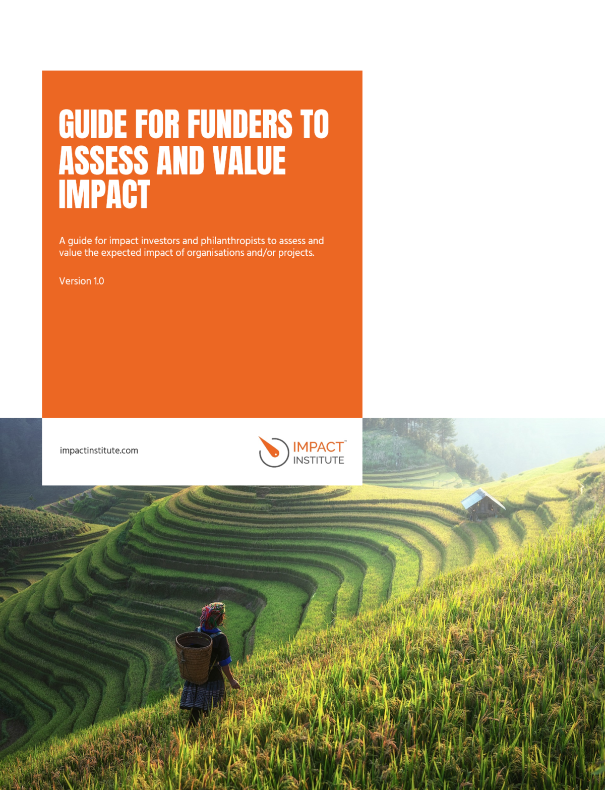 Impact Institute presents a guide for investors and philanthropists to