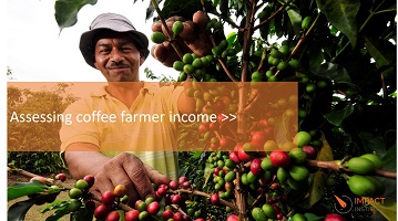 Future of Coffee Depends on Adequate Income for Farmers