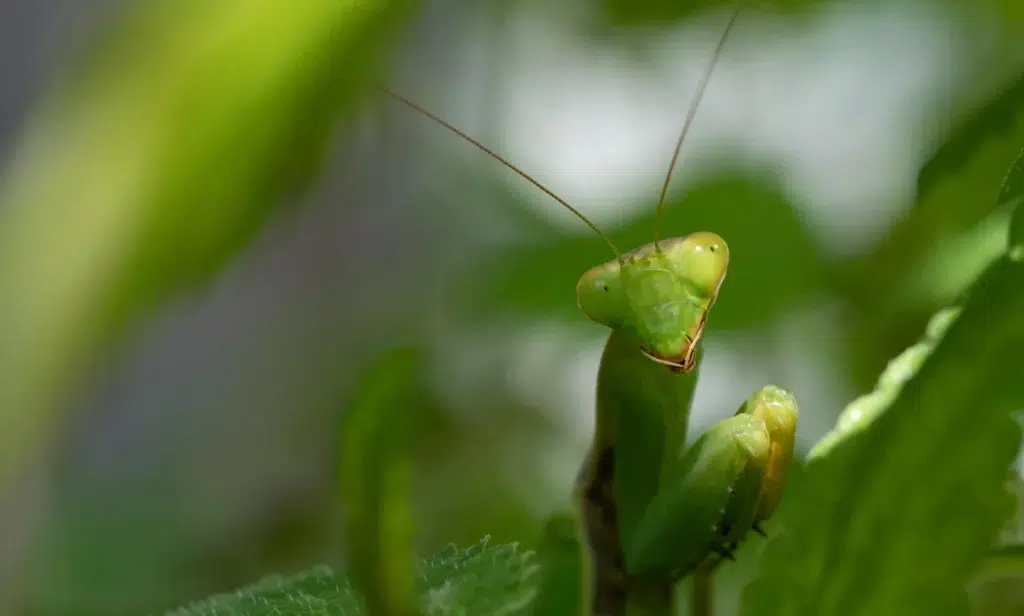 Watch here the Impact Update update on impact education for energy, water and infra organisations