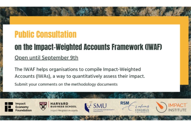 Public Consultation on the Impact-Weighted Accounts Framework (IWAF)