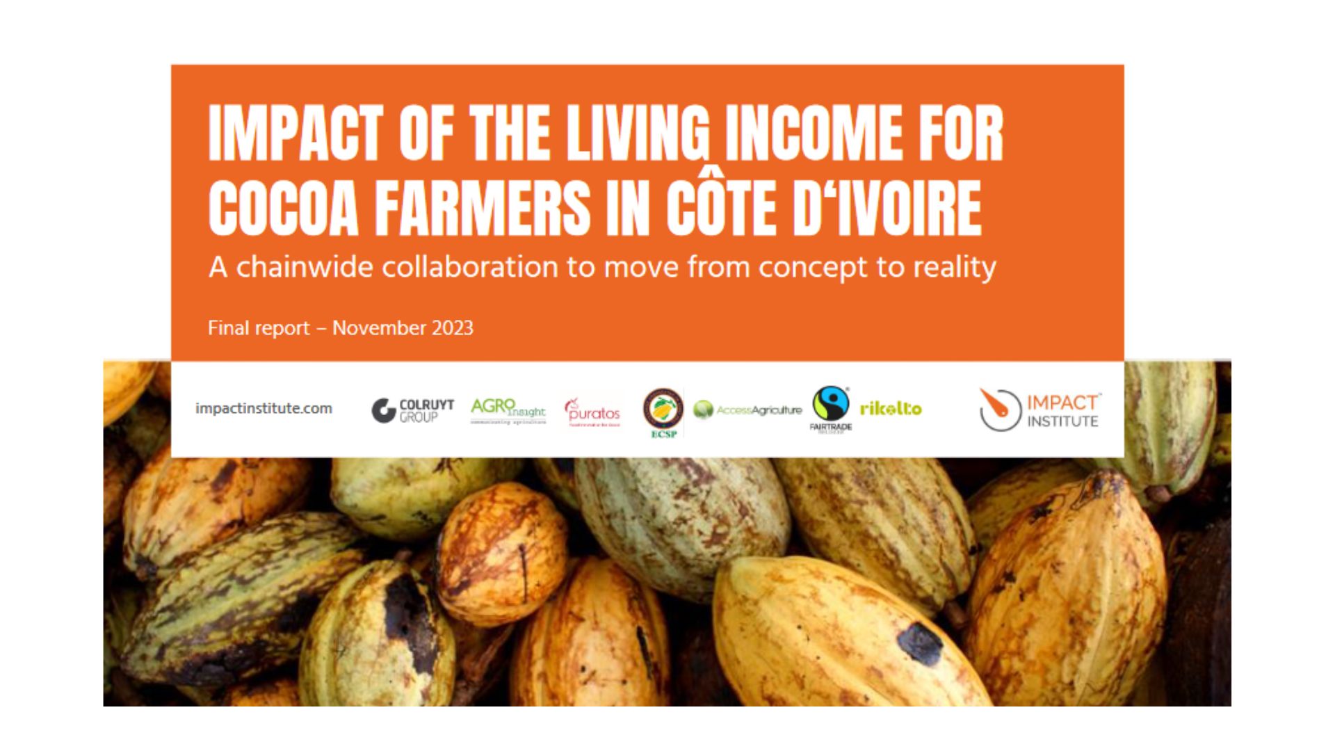 Impact of the living income for cocoa farmers picture
