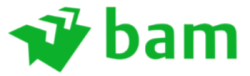 bam's logo