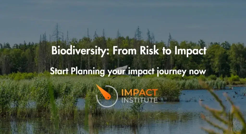 3 Informative Insights from the Webinar on Biodiversity: From Risk to Impact