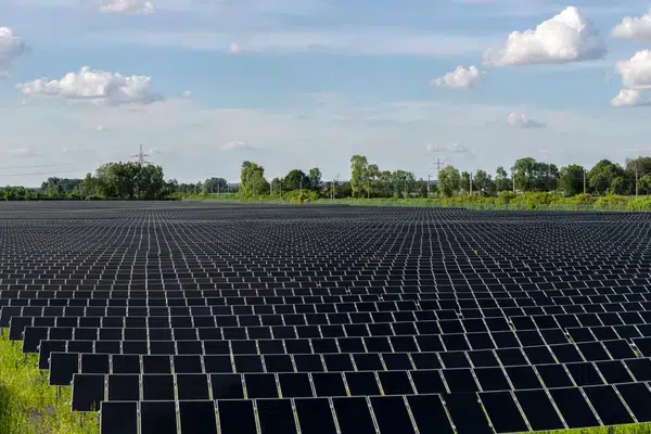 Image of solar panels in a field