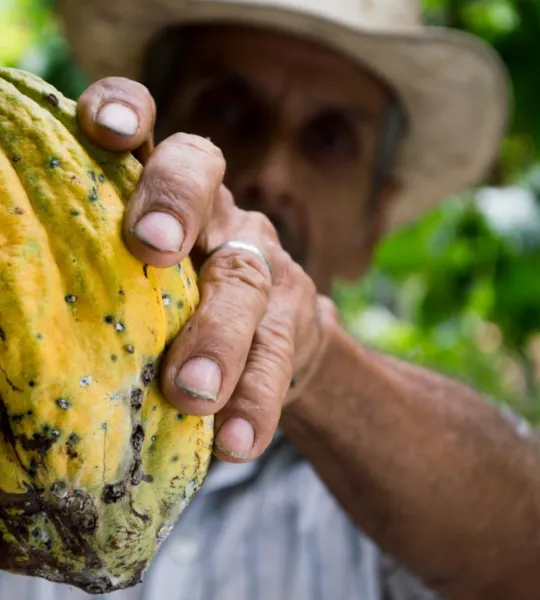 image of a local farmer with cocoa bean